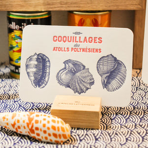A kép megnyitása diavetítésben, Tengeri lények társasága | A polinéziai korallzátony kagylói kártya
